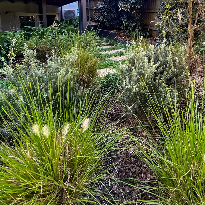 Layered planting along a garden path