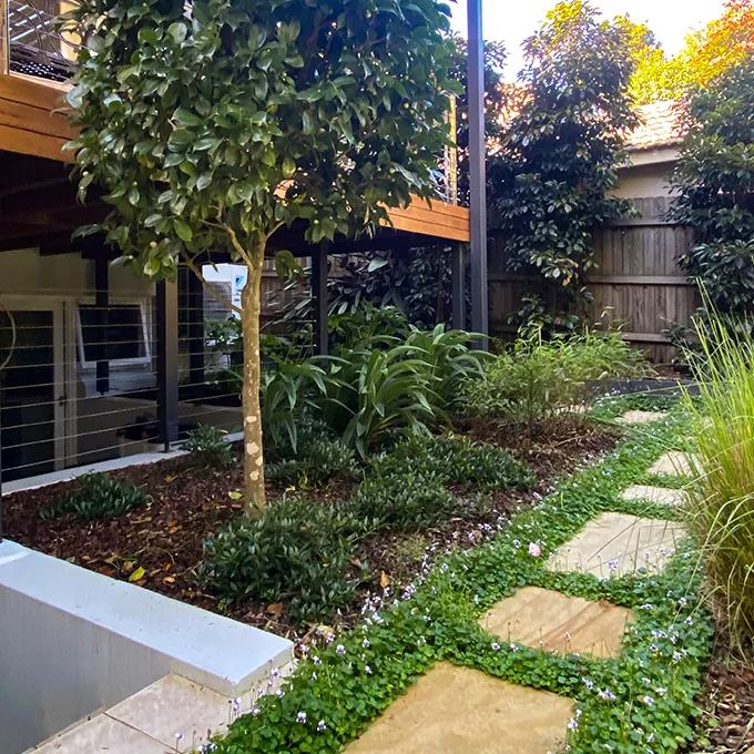 Branch Out Landscape Design: Award-winning gardens, designed around how you live.
